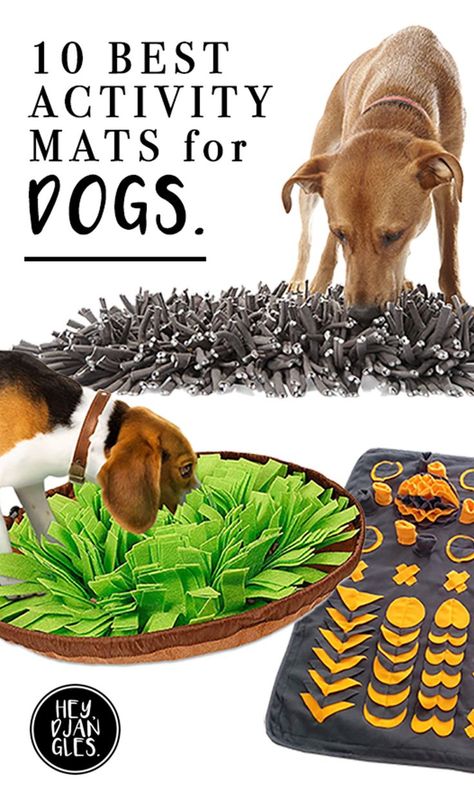 10 Best Boredom Busting Activity Mats for Dogs - heydjangles.com - dog boredom busters, snuffle mats, canine enrichment toys #doglover #dogtoys Dog Boredom Buster, Dog Boredom, Diy Dog Toys, Dog Enrichment, Best Dog Toys, Dog Games, Activity Mat, Brain Games, Dog Activities