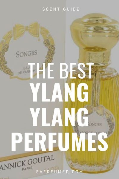 Essential Oil For Men, Oils For Men, Popular Perfumes, Fragrances Perfume Woman, Perfume Collection Fragrance, Perfume Reviews, Celebrity Perfume, Diy Beauty Recipes, Perfume Scents