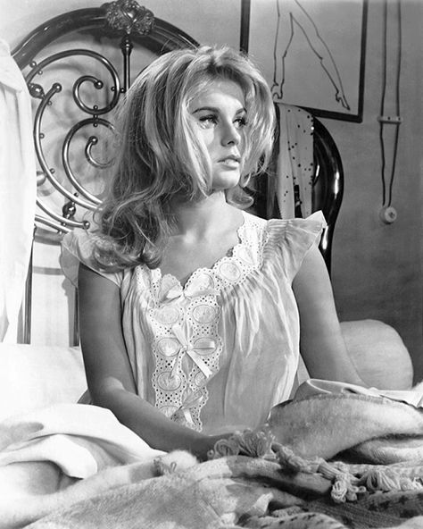 Ann-Margret / production still from Jean Negulesco’s The Pleasure Seekers (1964) 60s Girl, Ann Margret, Pin Ups, Vintage Photographs, Blue Velvet, Motion Picture, Old Hollywood, New Trends, Style Icons