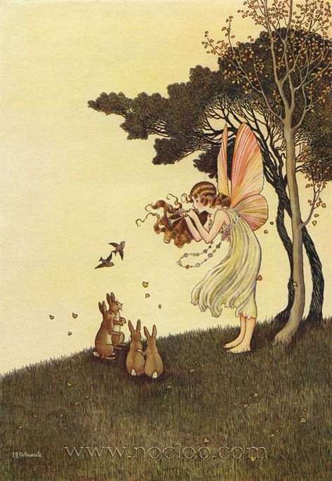 Ida Rentoul Outhwaite - Illustrations for The Enchanted Forest 1921 Fairytale Images, Ida Rentoul Outhwaite, Fairy Music, History Student, Fairy Stories, Fairy Illustration, Kindle Cover, Vintage Fairies, Fairytale Art