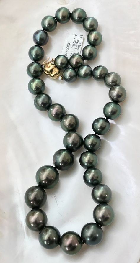 Tahitian Pearls Jewelry, Tahitian Pearl Ring, Buy Pearls, Golden South Sea Pearls, Tahitian Black Pearls, Pearl Strand, Pearl Strands, Sea Pearls, South Sea Pearls