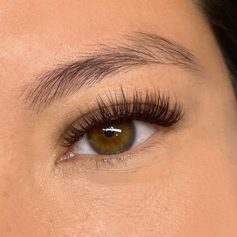 Have you ever gotten lash extensions and thought “they’re a little too dark?” And then maybe you tried hybrids then classics and still thought “they’re still a little dark?” Well then you need to try some 𝙗𝙧𝙤𝙬𝙣 𝙡𝙖𝙨𝙝 𝙚𝙭𝙩𝙚𝙣𝙨𝙞𝙤𝙣𝙨! I had a few clients struggling with the exact look they wanted with lashes but once we transitioned into brown, they were SOLD. I mean, look how cute they are! Still the same dark base but the soft brown tips really help compliment lighter eyes. What do y’all think?!... Classic Full Set Lashes, Dark Brown Lash Extensions, Soft Lash Extensions, Classic Hybrid Lashes, Brown Lash Extensions, Lashes Classic, Eyelash Extensions Classic, Brown Lashes, Hybrid Lashes