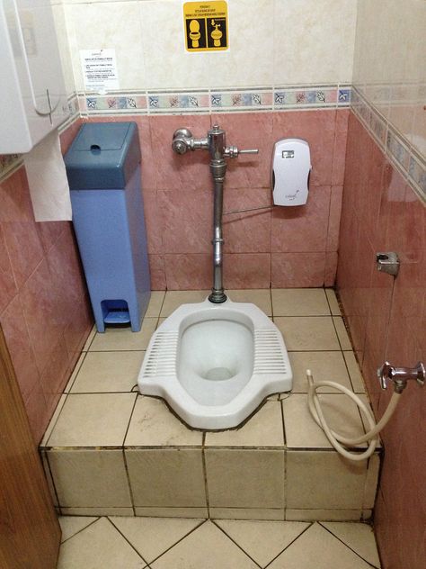 How to Use an Asian Toilet Asian Toilet, Squatting Toilet, Asian Squat, Squat Toilet, Old Closet Doors, Squatty Potty, Toilet And Bathroom Design, Toilet Stool, Custom Dresser