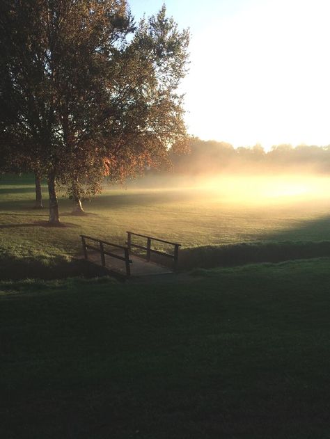 Good Morning Sunshine ~ Dream Dream, Country Side, The Fog, Morning Light, Nature Aesthetic, Pretty Places, Infj, Image Hd, Farm Life