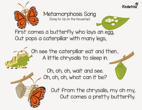 Metamorphosis (aka The Long Wait) Metamorphosis Song, Butterfly Crafts Preschool, Butterfly Lessons, Music Dice, Butterfly Metamorphosis, Butterfly Songs, Hungry Caterpillar Activities, Insects Preschool, Bugs Preschool