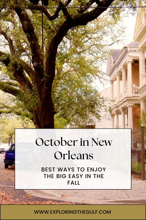 Experience the unique charm of New Orleans in October. With warm days and cooler nights, it's the perfect time to explore the historic French Quarter, savor the local cuisine, and immerse yourself in the city's vibrant culture. From haunted history tours to riverboat rides, October in NOLA offers a blend of adventure and relaxation, making it an ideal time for a memorable visit. New Orleans Things To Do In October, Historic New Orleans, Fall In New Orleans, Visiting New Orleans, Halloween New Orleans, One Day In New Orleans, Things To Do New Orleans, New Orleans October, What To Wear In New Orleans In October