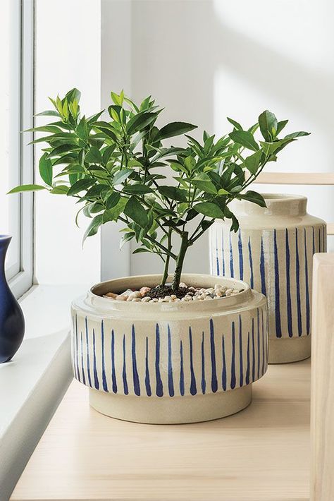 Inspired by Danish pottery and Japanese patterns, these ceramic planters are hand-thrown and glazed by the artisans at Red Wing Pottery. Garden Pottery Ideas, Red Wing Stoneware, Red Wing Pottery, Serving Ware, Keramik Design, Garden Pottery, Modern Planters, Modern Outdoor Furniture, Pottery Classes