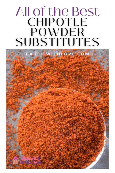 Chipotle Powder Recipe, Chipotle Seasoning Recipe, Chili Powder Substitute, Chipotle Dip, Chipotle Powder, Chipotle Seasoning, Ancho Chili Powder, Chipotle Chili Powder, Adobo Seasoning