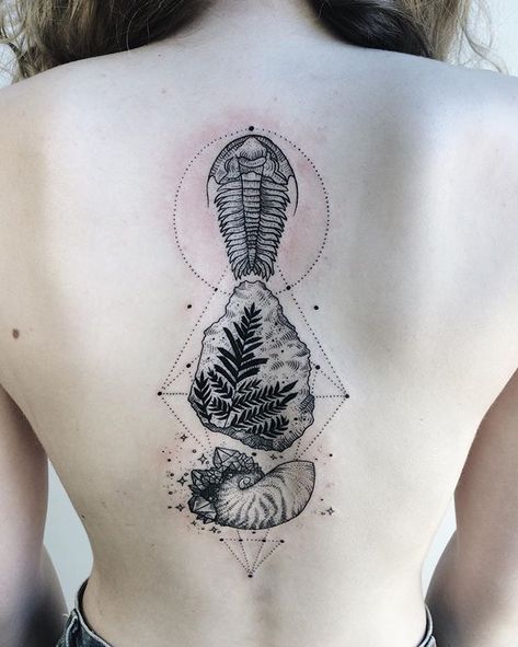 Trilobite, fossilized fern, and crystallized ammonite shell! Thanks Chloe! Trilobite Tattoo, Geology Tattoo, Pony Reinhardt, Science Tattoo, Ammonite Shell, Dinosaur Tattoos, Baby Tattoos, Tattoos Gallery, Great Tattoos