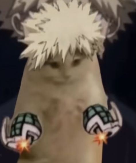 Angry Pomeranian Bakugo, Pomeranian Bakugou, Bakugo Angry Face, Bakugo Pomeranian, Bakugo Angry, Angry Bakugou, Angry Pomeranian, Tenya Iida, Dog Filter