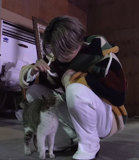 Bangtan Bomb, Park Jimin Bts, Bts Twt, Foto Bts, Cat Love, Bts Wallpaper, Bts Jimin, Boyfriend Material, Park Jimin