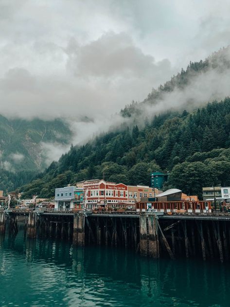 Alaska Nature Photography, Ketchikan Alaska Photography, Kodiak Alaska Photography, Juneau Aesthetic, Juneau Alaska Photography, Juneau Alaska Aesthetic, Alaska Aesthetic, Alaska Nature, Alaska Life