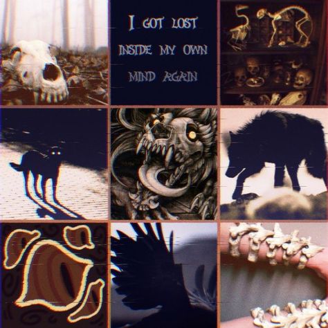 Moodboards Character Inspiration, Moodboard Character Inspiration, Moodboard For Character Design, Character Moodboard Aesthetic, Crow Moodboard, Insect Moodboard, Deer Moodboard, Animal Mood Board, Animal Moodboard Aesthetic