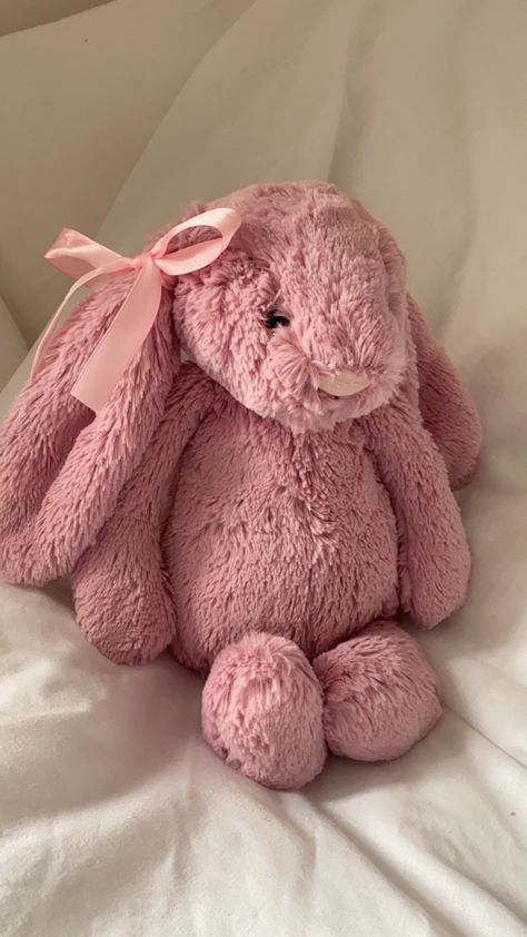 Pink Jellycat Bunny Aesthetic, Pink Jelly Cat Bunny, Pink Bunny Jellycat, Pink Jelly Cat, Pink Jellycat, Jelly Cat Bunny, Jellycat Bunnies, Pink Plushie, Bunny Jellycat