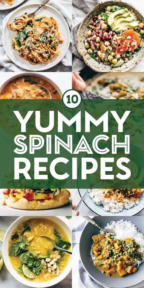 Fresh Spinach Recipes, Spinach Recipes Healthy, Creamy Tortellini Soup, Spinach Bake, Sweet Potato Curry, Sweet Potato Spinach, Sweet Potato Noodles, Spinach Recipes, Waiting For Someone