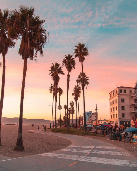 Pink sunset at Venice Beach, Los Angeles, California. #visitcalifornia #travel #wanderlust #california #losangeles #LA #westcoast #venice #venicebeach #santamonica #sunset Venice Beach, Santa Monica, Palm Trees, Venice, The Beach, Trees, Angeles, California, Travel