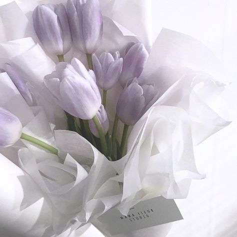 Light Purple Things, Lavender And White Aesthetic, Lilac Widget Aesthetic, Lilac Aesthetic Flower, Lavender Phone Theme, Luvsoft Purple, Pale Purple Aesthetic, Lilac Flowers Aesthetic, Purple Light Aesthetic