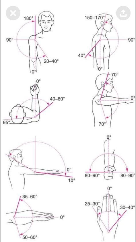 Punkty Spustowe, Physical Therapy School, Physical Therapy Student, Physical Therapist Assistant, Physical Therapy Assistant, Yoga Anatomy, Human Body Anatomy, Muscle Anatomy, Human Anatomy And Physiology