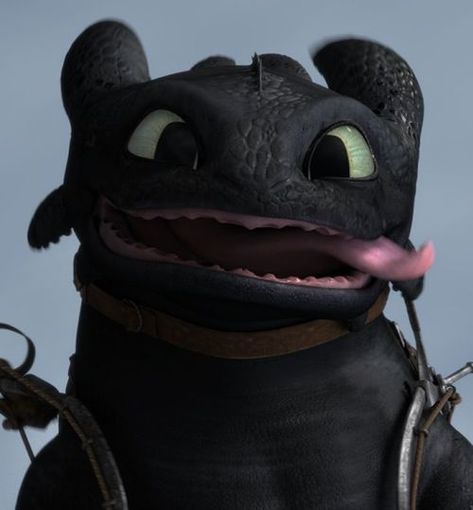 being toothless Toothless Wallpaper, Cute Toothless, Toothless Night Fury, Httyd 2, Toothless Dragon, Httyd 3, Dragon Trainer, Girlfriend Goals, Night Fury