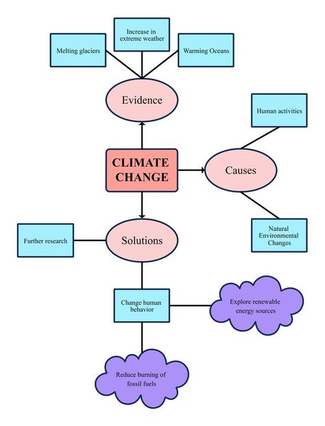 Concept Web Graphic Organizer Main Idea Graphic Organizer, Graphic Organizer Template, Concept Web, Conceptual Framework, Story Map, Graphic Organizer, Human Activity, Cause And Effect, Compare And Contrast