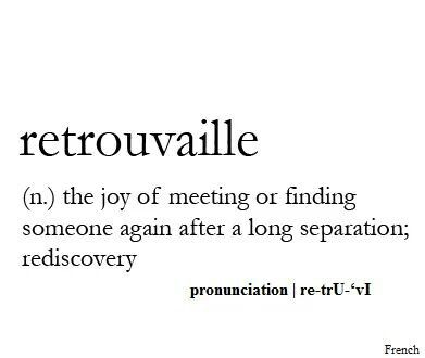 Definition of Retrouvaille: the joy of meeting or finding someone again after a long separation; rediscovery. Quotes Distance, Distance Love Quotes, Distance Relationship Quotes, Unique Words Definitions, Fina Ord, Relationship Quotes For Him, Uncommon Words, Fancy Words, Weird Words