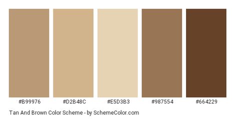 Color scheme palette image Tan Pallete Color, Colour Palette Browns, Brown Beige Palette, Aesthetic Brown Color Palette, Tan Colour Pallete, Brown Pallete Color Aesthetic, Beige And Brown Color Palette, Brown Color Palette Code, Brand Esthetics