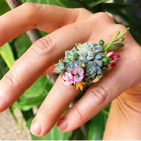 Succulent Jewelry, Landscape Edging, Tiny Plants, Succulent Gardening, Succulent Wedding, Cactus Y Suculentas, Clay Flowers, Garden Signs, Cactus And Succulents