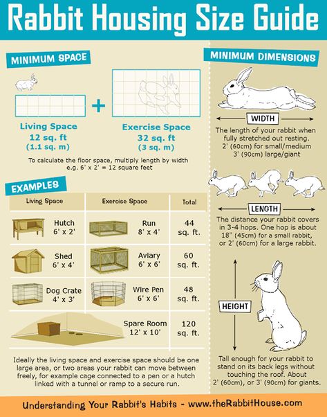 Rabbit Hutch/cage Size Guide - Minimum Requirements Rabbit Hutch Plans, Pig Habitat, Diy Rabbit Hutch, Pet Rabbit Care, Rabbit Farm, Meat Rabbits, Bunny Hutch, Rabbit House, Raising Rabbits