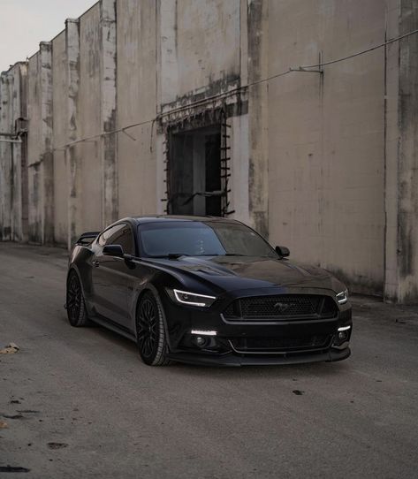 Black Ford Mustang Gt, Mustang 2024 Black, 5.0 Mustang, All Black Mustang, Mustang Gt500 Black, Blacked Out Mustang, Shelby Gt500 Black, Black Mustang Car, Matte Black Mustang