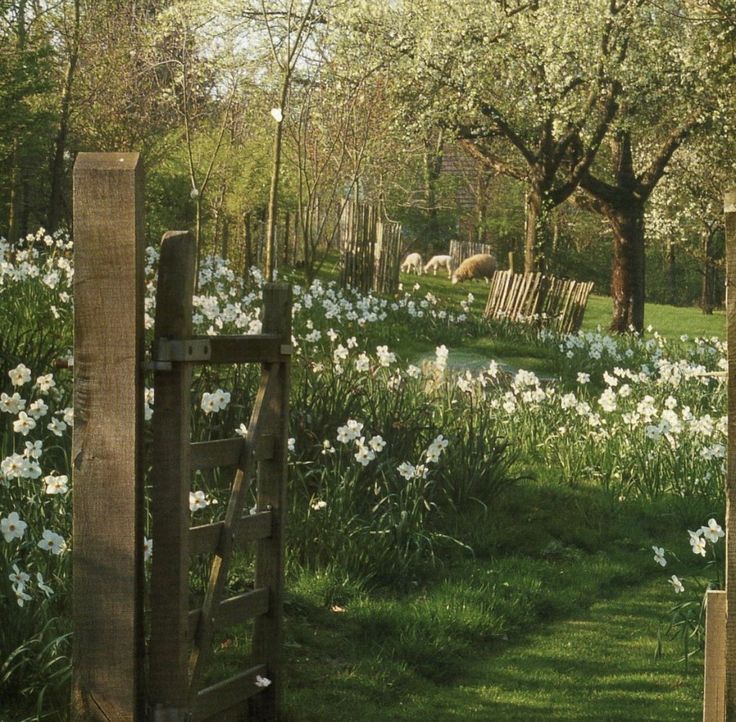 an open gate in the middle of a grassy field with flowers and trees around it