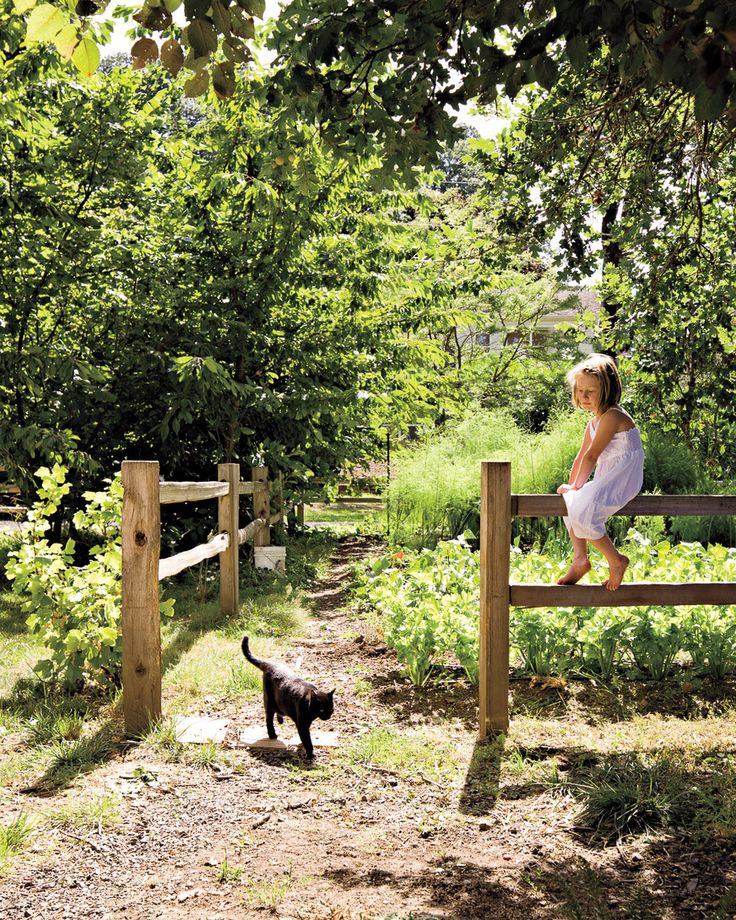 A garden and a hoop house help sustain the family year-round. They keep chickens for meat and eggs, and bees for honey and orchard pollination. They hope to one day turn the grounds into an educational farm, named Wild Goose Farm by Max. Future Farms, Country Scenes, Farms Living, Wooden Fence, Country Farm, Green Gables, Permaculture, Country Living, Farm Life