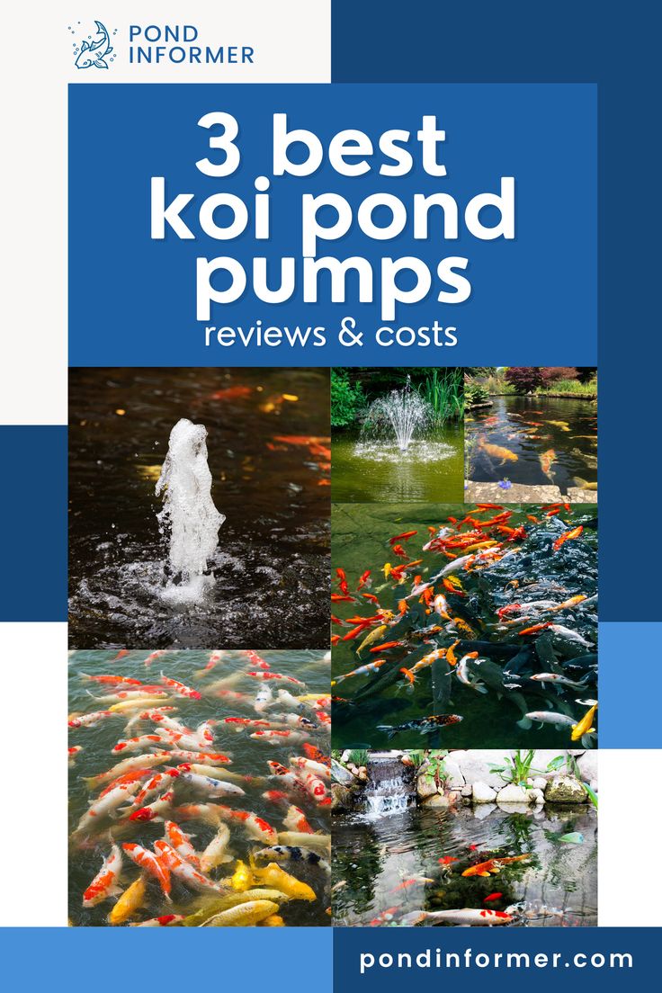 Article about the 3 best koi pond pumps, featuring detailed reviews and cost breakdowns.

Koi pond pumps, Best pond pumps, Koi pond, Pond pump, Pond care