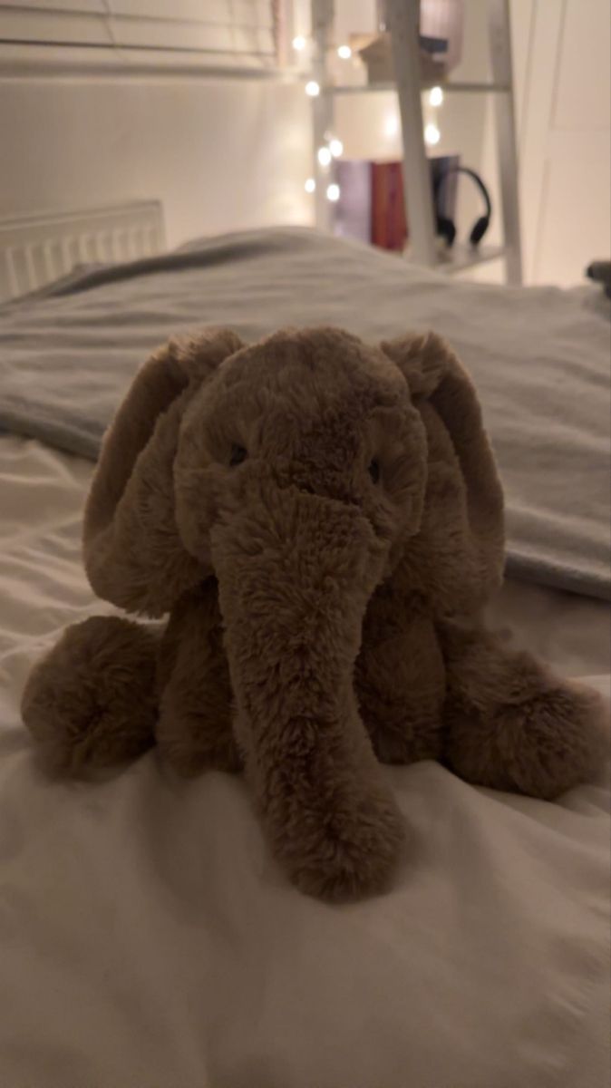 ellie Jellycat Sea Creatures, Jelly Cat Elephant, Jelly Cat Teddy, Cute Jelly Cats, Jelly Cats Stuffed Animals, Jelly Cats Aesthetic, Jellycat Elephant, Aesthetic Stuffed Animals, Jelly Cat Aesthetic