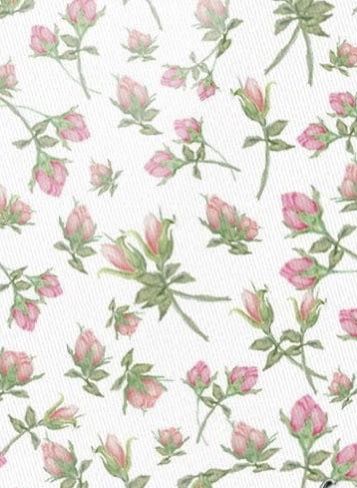 pink flowers on white background with green leaves