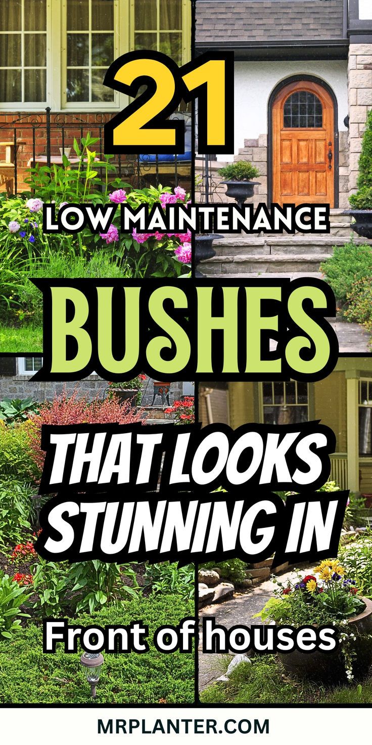 the front cover of 21 lawn maintenance and landscaping business books that looks stunning in real life