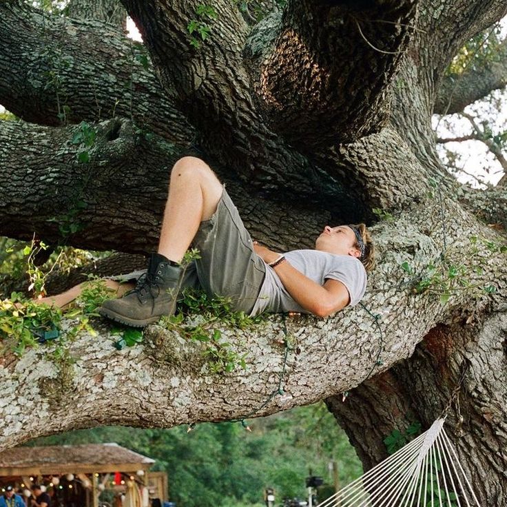 a man laying on top of a tree next to a hammock