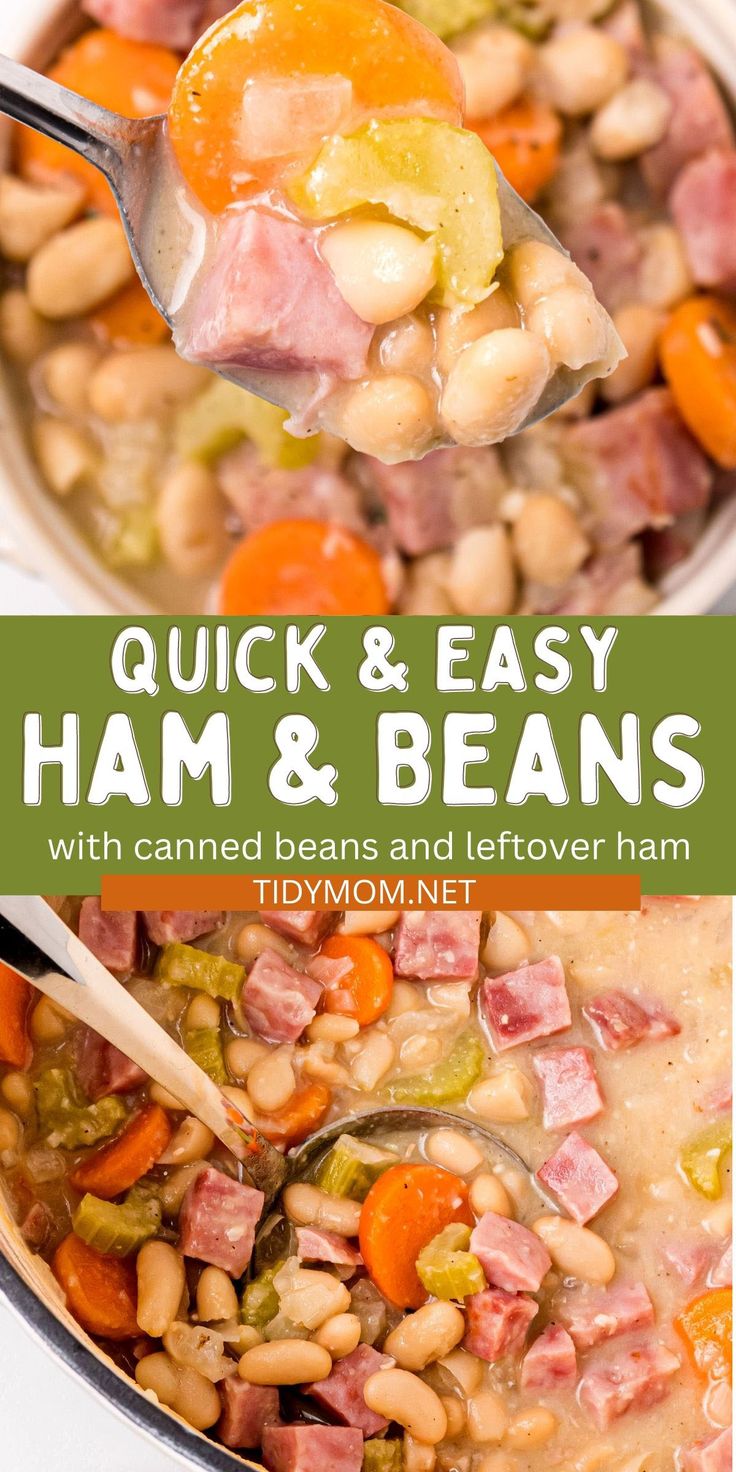 ham and beans in a white bean soup with carrots