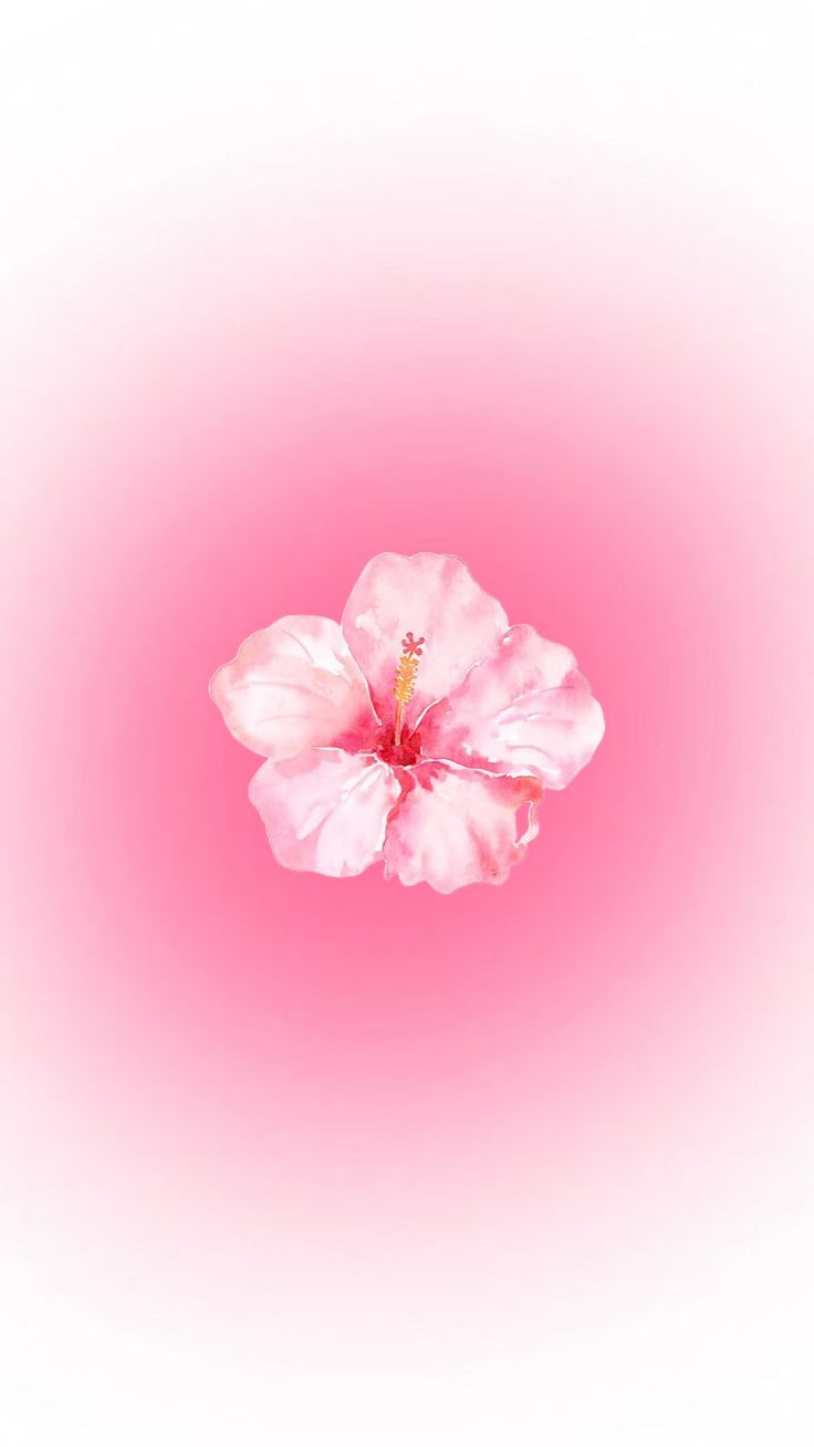 a pink flower is in the middle of a white and pink background with space for text