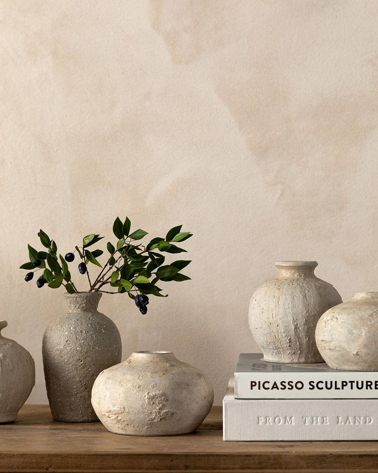 three white vases sitting on top of a wooden table next to books and a plant