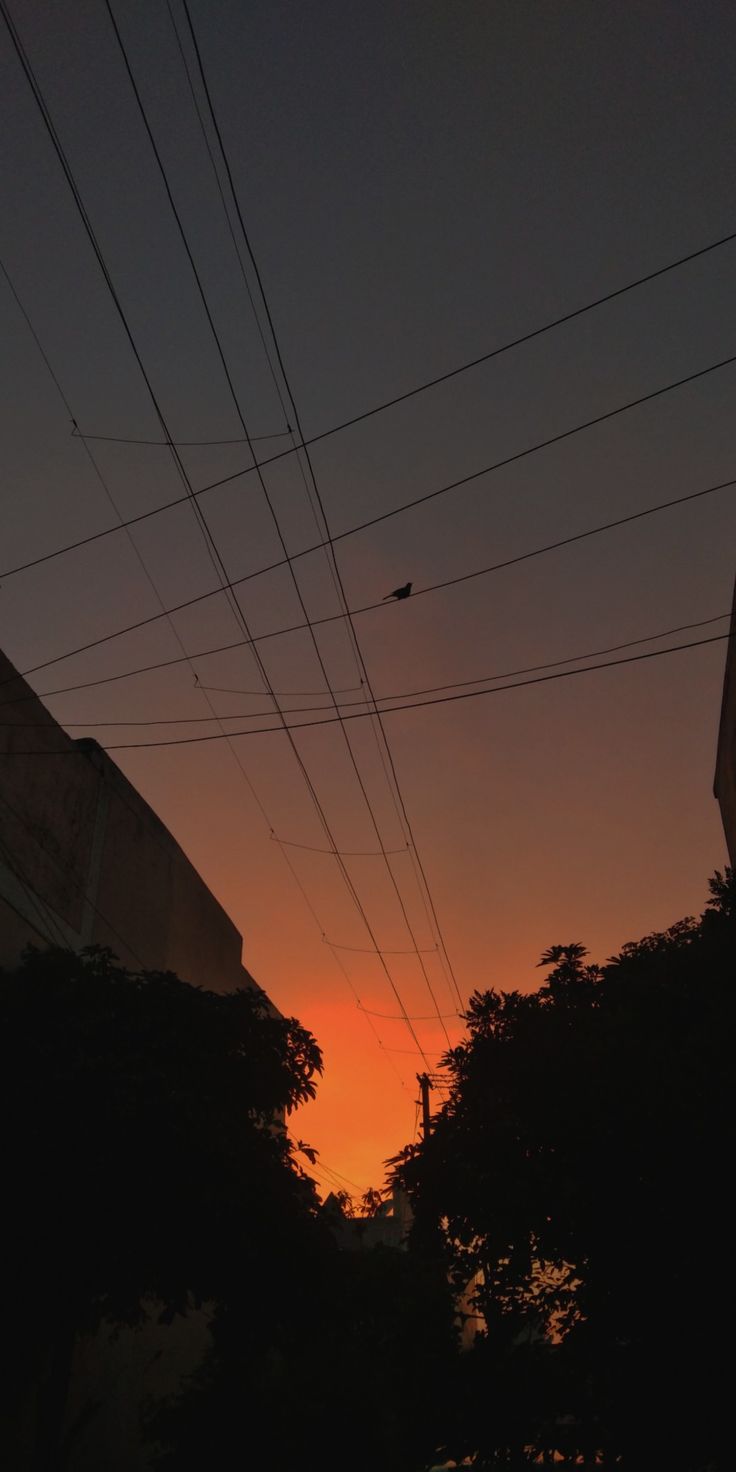 the sun is setting behind some power lines