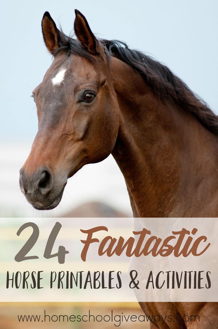 a brown horse with the words 24 fantastic horse printables and activities on it