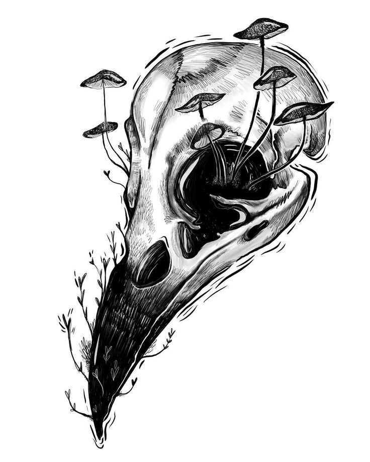 a black and white drawing of a bird's head with mushrooms growing out of it