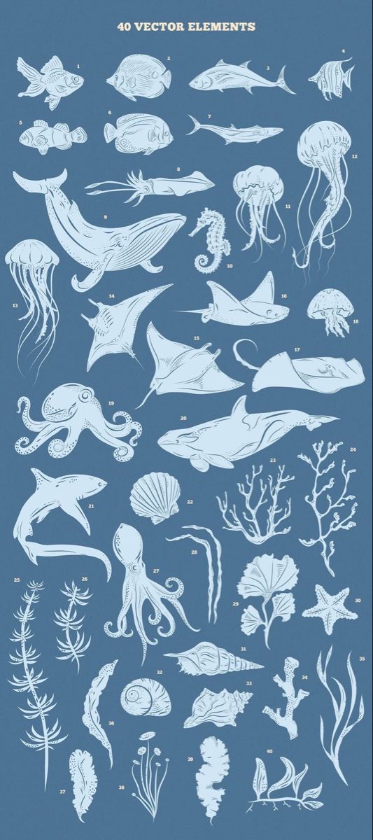 an image of various sea animals in blue and white