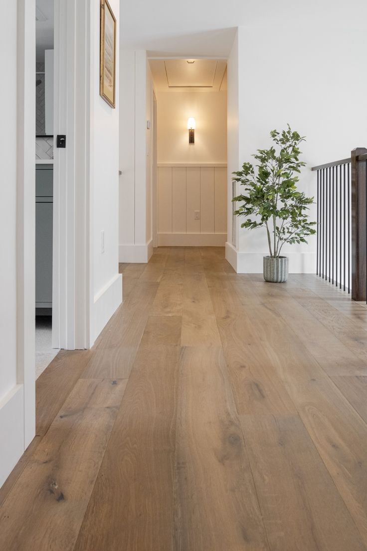 an empty hallway with wooden floors and a plant in the corner on the far side