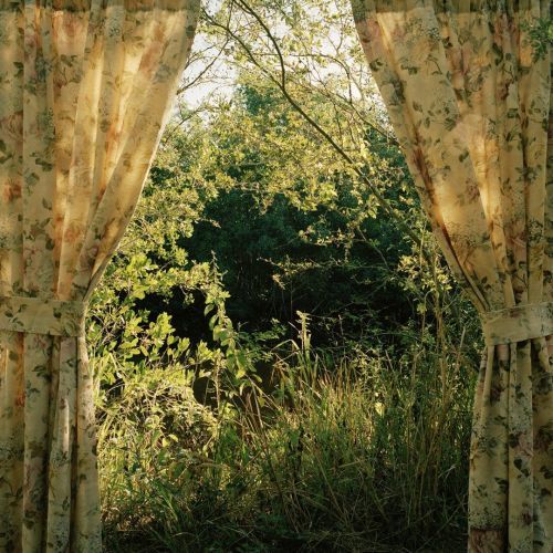 an open window with floral curtains in front of trees and bushes on the other side