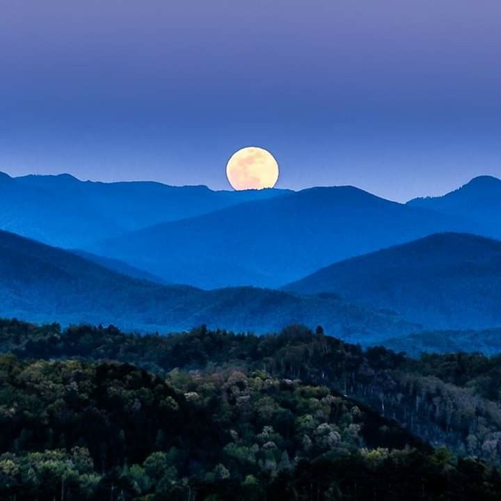 the full moon is setting over mountains in the blue hued sky with trees below