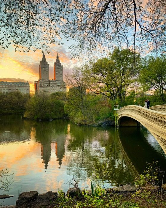 a bridge over a river in a park with trees and buildings on the other side