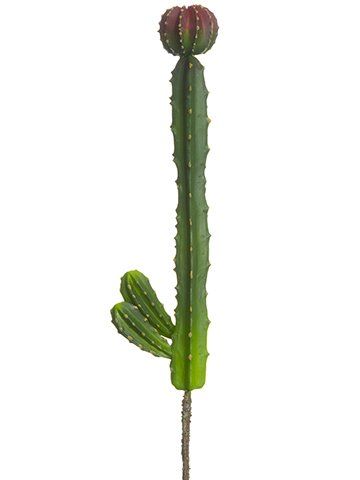 12.5″ Peruvian Cactus Pick Burgundy Green Peruvian Cactus, Floral Supplies, Silk Flower, Green Silk, Cactus Plants, Silk Flowers, Artificial Flowers, Succulent, Planting Flowers