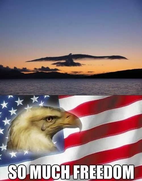 an eagle with the words so much freedom on it's face in front of an american flag