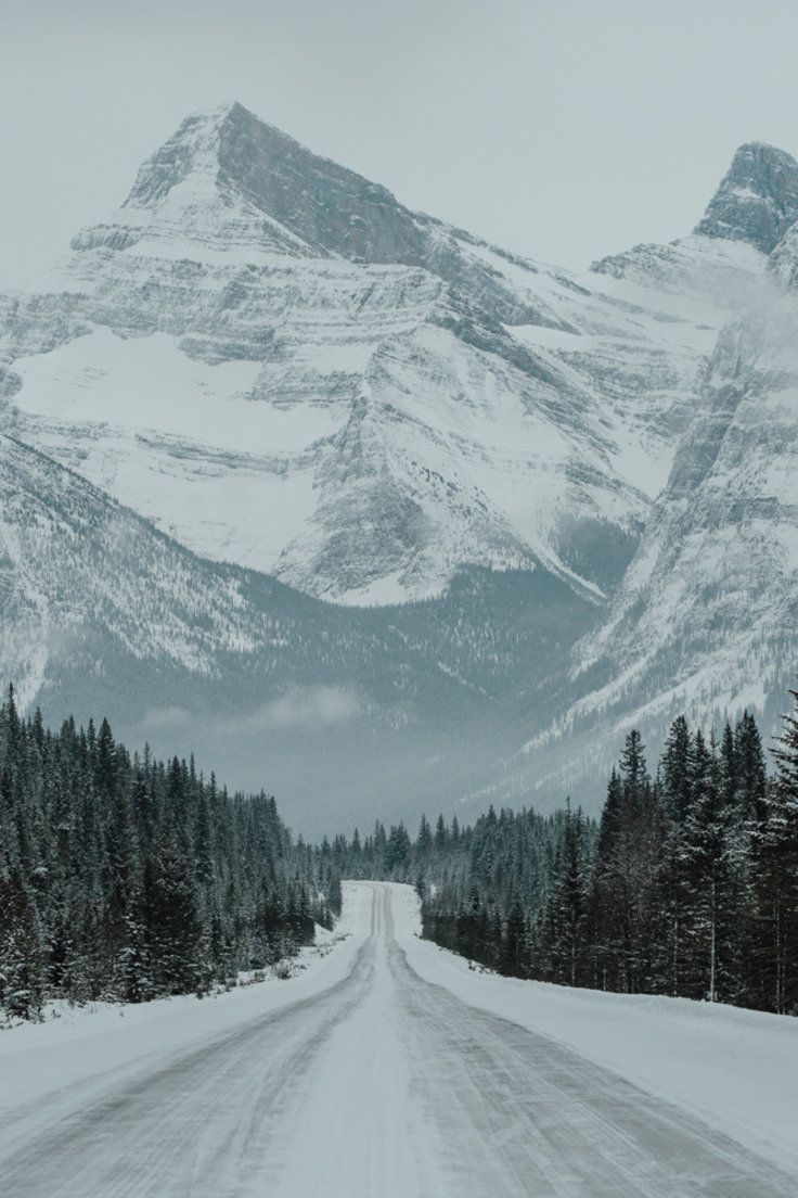 a snowy road in the mountains with trees on both sides and snow covered mountain behind it